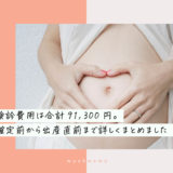 費用は合計９１、３００円だった！！妊婦検診のキロク〜妊娠確定前から出産直前まで詳しくまとめました