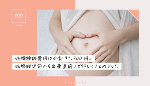 妊婦検診費用は合計９１、３００円だった！！妊娠確定前から出産直前まで詳しくまとめました