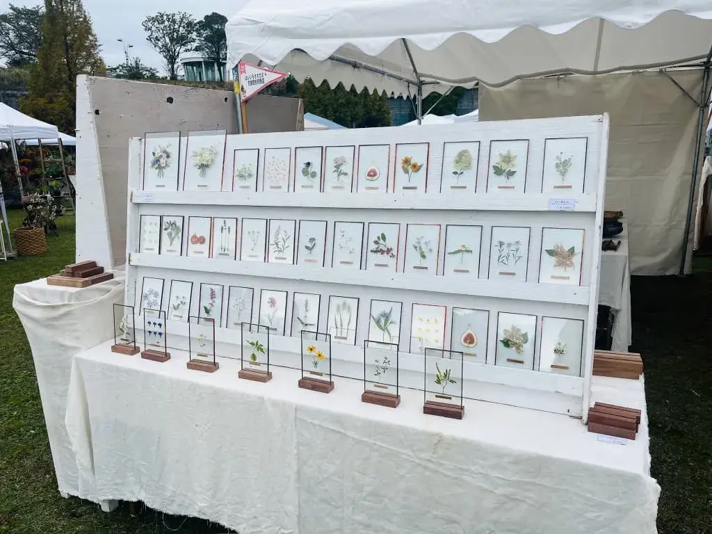 【2025年】東京蚤の市|立川