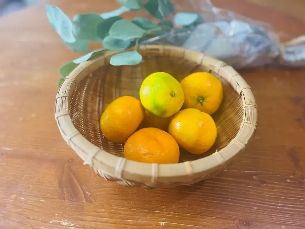 【2025年】東京蚤の市|立川